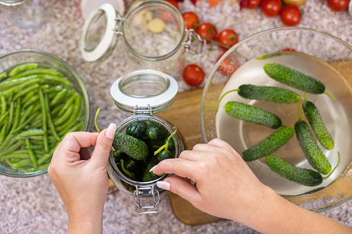 Homemade marinated or pickled cucumbers