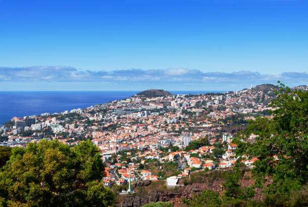 View of Funchal, Madeira with trees in the foreground and the sea in the background.