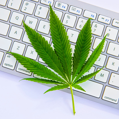 This is a stock photograph involving cannabis, marijuana and its implications in America has just slowly been legalized and used for medicinal and medical purposes and what that means to our economy and culture. This is a conceptual photo relating to ordering pot online using a computer keyboard.