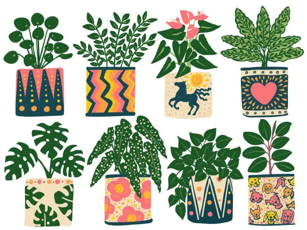 Vector illustration of Eight Houseplants in Colorful Planters 2