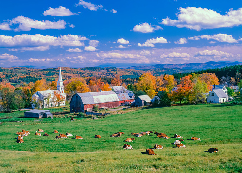 AUTUMN GREEN PASTURE WITH ROLLING HILLS AT PEACHAM, VERMONT