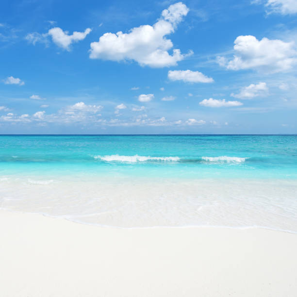 istock Perfect paradise beach with turquoise sea and clear sky 1270524036