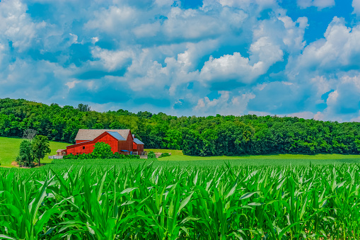 The farm country in Ohio is filled with wonderful barns and crops. The bonus is that there are hills with trees too.