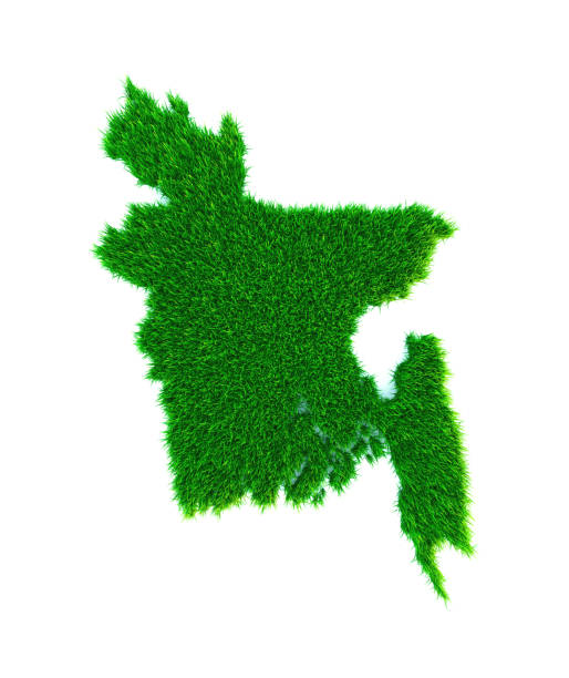 Grass map of Bangladesh, white background