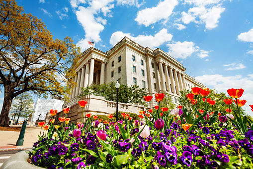 Library of Congress de facto national one of the United States in Washington through flowers