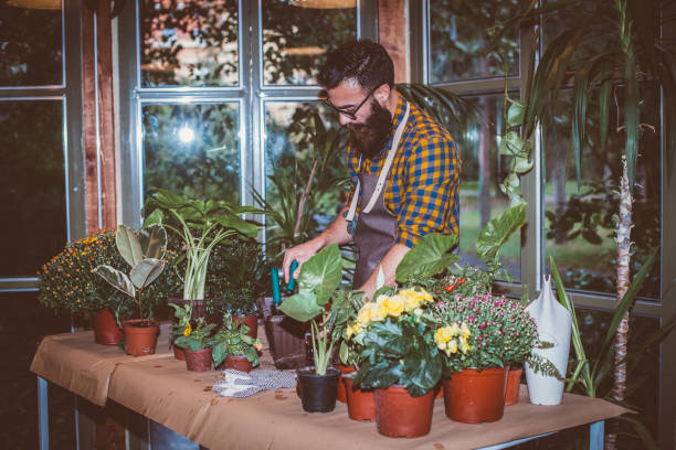 istock Planting workstation in a flower shop 1270527914