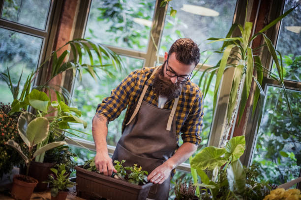 istock Gardener in a flower shop 1270527929