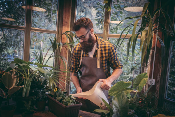 istock Gardener in a flower shop 1270527932