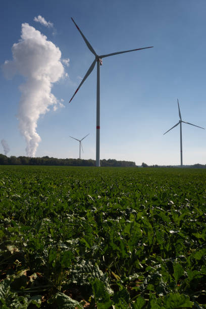 turbiny wiatrowe w bergheim w northrhine westfalia - niederaußem zdjęcia i obrazy z banku zdjęć