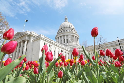 This low angle image of the Wisconsin State Capitol was taken during the spring, when Madison, Wisconsin's iconic tulips bloom. People come from around the state to see this sight.