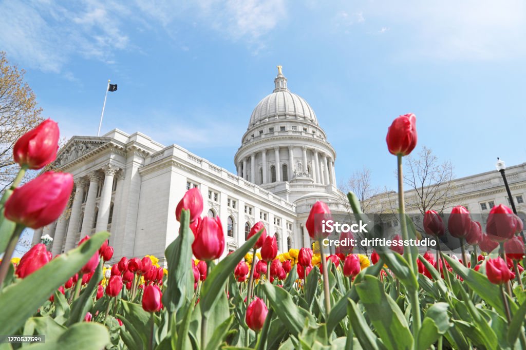 Wisconsin State Capitol with tulips in springtime low angle This low angle image of the Wisconsin State Capitol was taken during the spring, when Madison, Wisconsin's iconic tulips bloom. People come from around the state to see this sight. Madison - Wisconsin Stock Photo