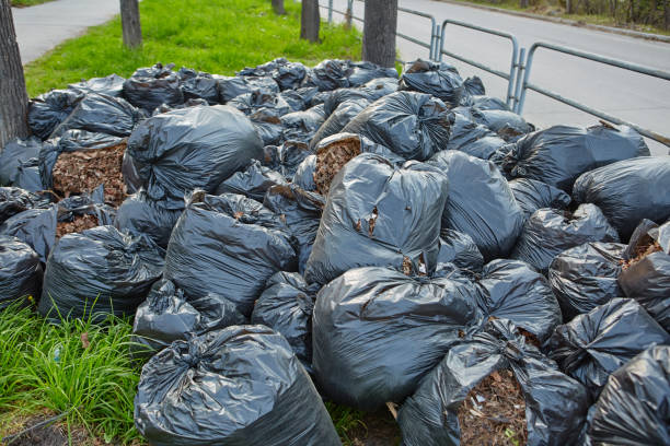 istock Fallen autumn leaves gathered in biodegradable plastic bags. Black plastic garbage bags in the park, autumn cleaning. 1270542549