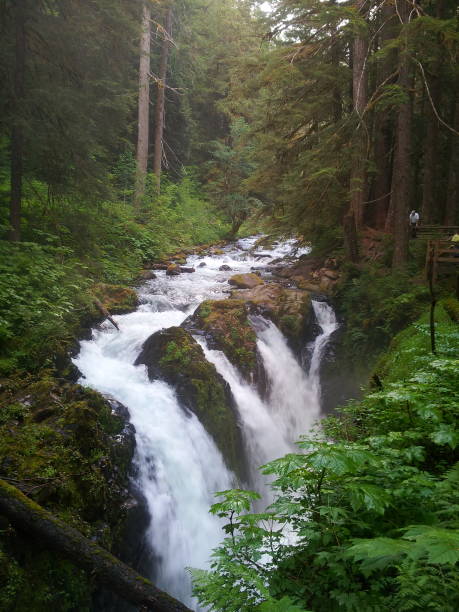 istock Sol Duc Falls, Olympic National Park, Washington 1270543392