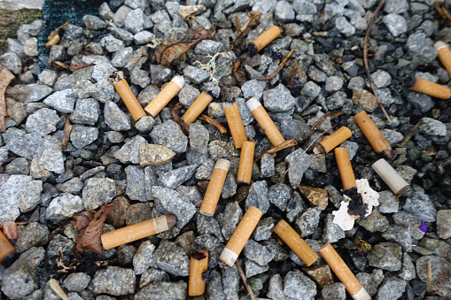 Cigarette butts are strewn on the ground
