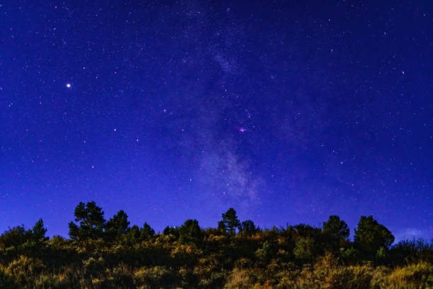 Free Stock Photo of Starry Night Sky Over Tree-filled Landscape ...