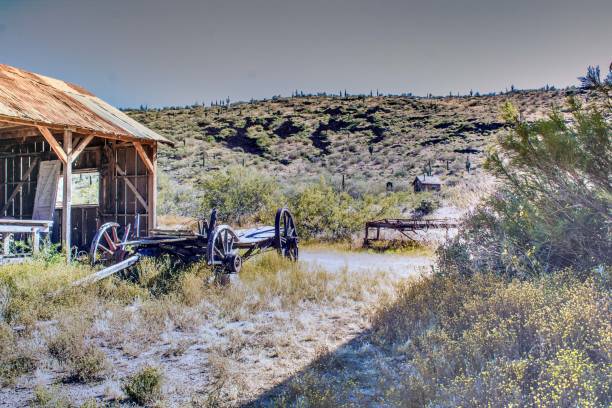 A Wagon and its Shack in the Desert