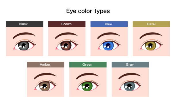 Ojos Azules Vectores Libres de Derechos - iStock Ojos Azules Vectores Libres de Derechos - iStock