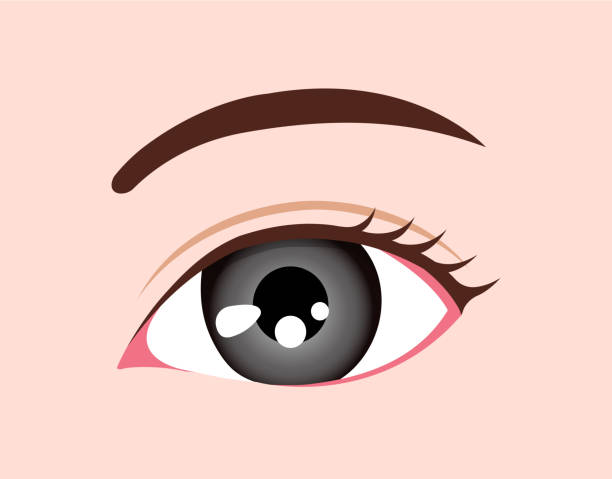 illustrazioni stock, clip art, cartoni animati e icone di tendenza di illustrazione del bulbo oculare / colore degli occhi umano (grigio) - human eye cartoon looking blue eyes