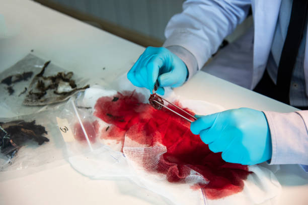 istock Autopsy Body surgeon during the survey,Dead person. 1270552266