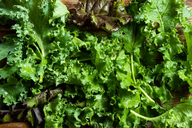 istock Fresh organic Kale on a wood background 1270553731