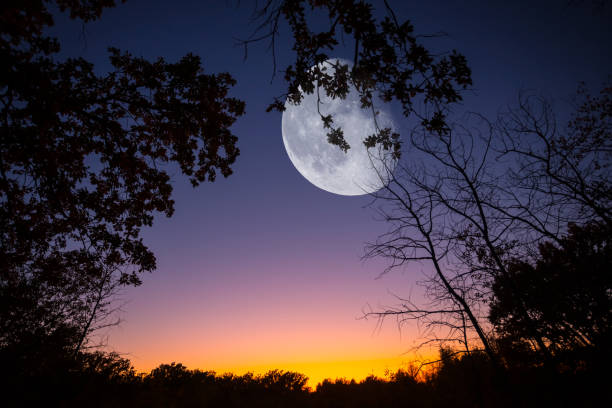 istock huge half moon on a night twilight sky above a forest silhouette, natural fantasy background 1270558553