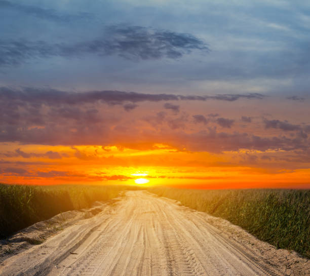 istock ground road among a prairie at the dramatic sunset 1270558721