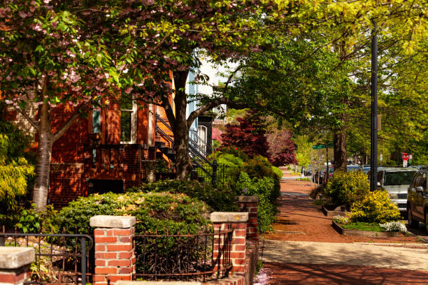 istock Capitol hill street view Washington, DC 1270560525