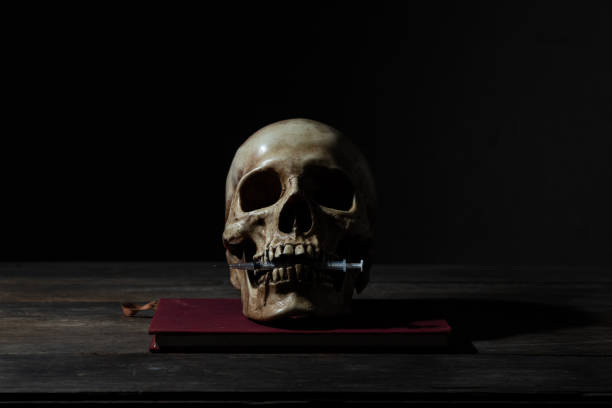 Still life of human skull that died for a long times ,concept of Drug concept stock photo