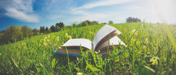 istock Open book in the grass on the field 1270566811