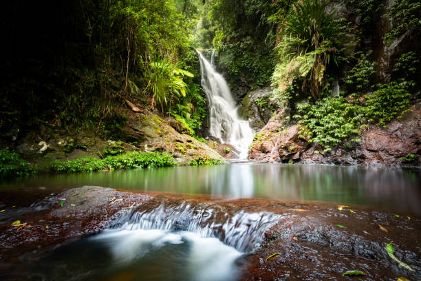 istock Rapids and waterfall in the Gold Coast hinterland 1270569686