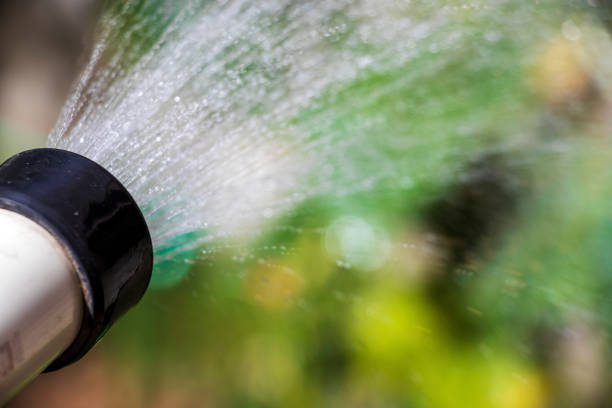istock Watering in the morning 1270570026