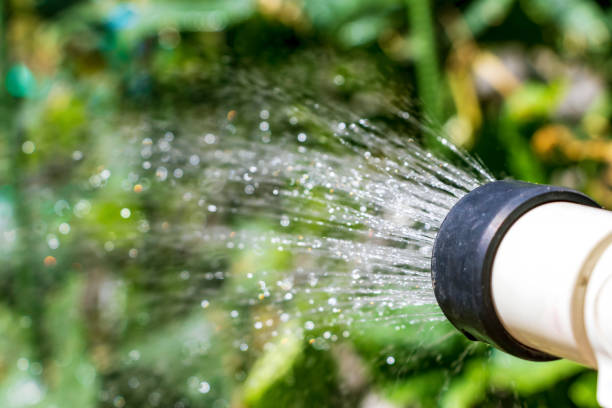 istock Watering in the morning 1270570078
