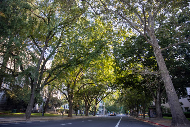istock Walking in Downtown Sacramento 1270573658