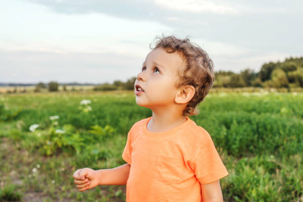 istock Little boy in a meadow, sunset light. 1270573790