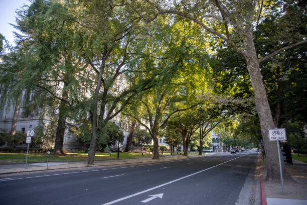 istock Walking in Downtown Sacramento 1270575029