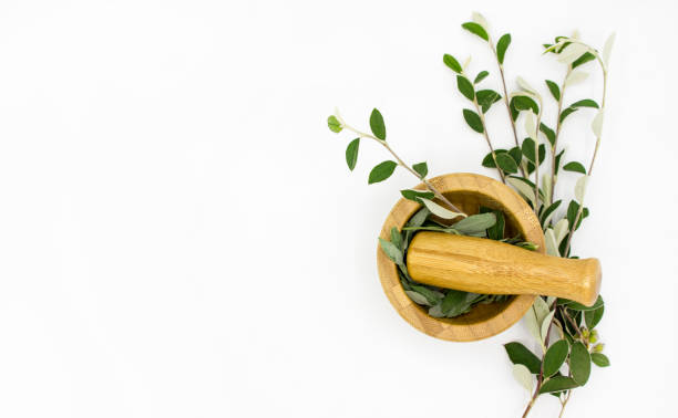 vista dall'alto del mortaio di legno con pestello ed erbe aromatiche - alternative medicine mortar and pestle herbal medicine herb foto e immagini stock