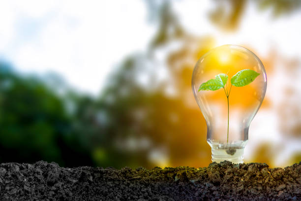 istock Renewable energy concept Earth Day or environment protection Hands protect forests that grow on the ground and help save the world. 1270577752