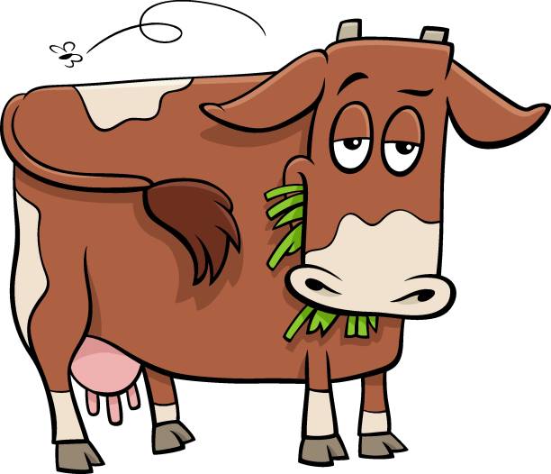 우유 소 농장 동물 캐릭터 만화 일러스트 - milker stock illustrations