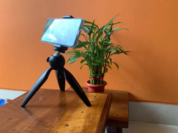 istock Plant Photography 1270580414