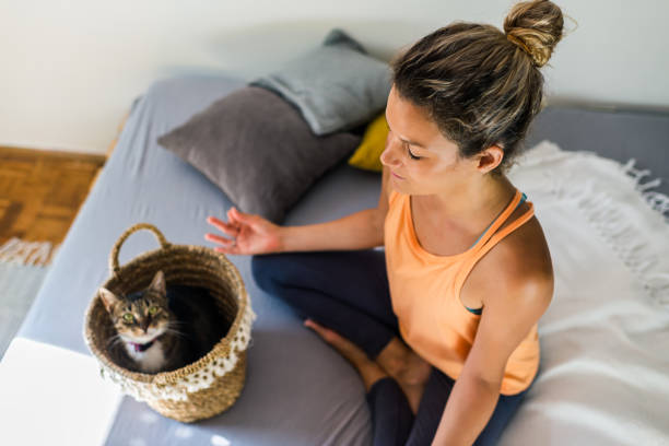 istock Relaxed woman with cat practicing Yoga at home 1270582483