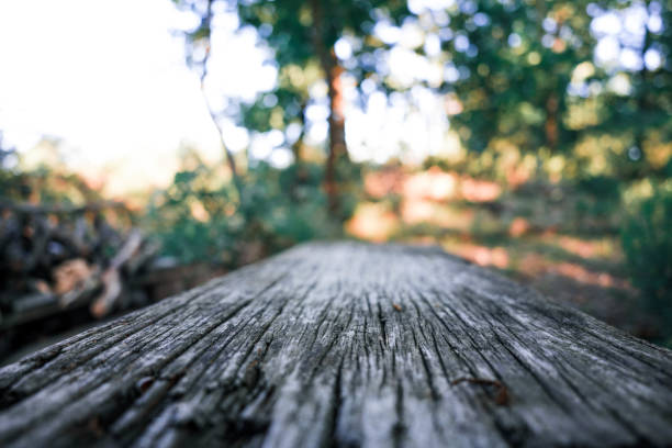 Old wooden floor and forest in background