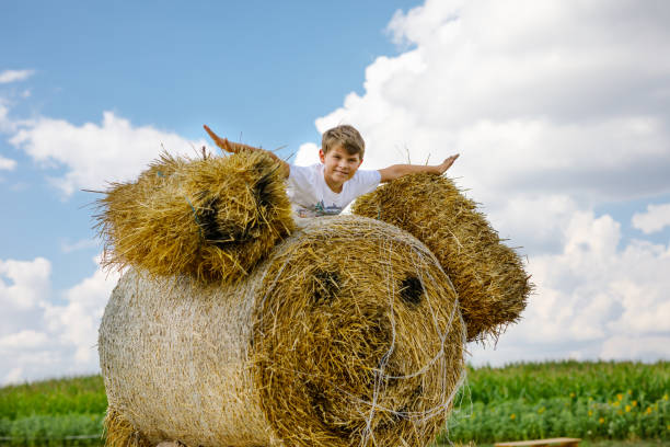 istock Little school kid boy having fun on hay stack or bale. Funny happy healthy child playing with straw. Active outdoors leisure with children on warm summer day. 1270585039