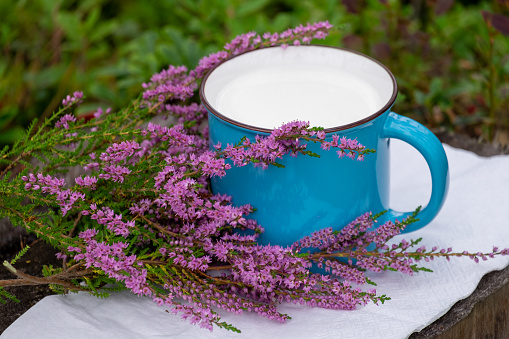 A Cup of milk and Heather flowers on a wooden table outside. The concept farmer of lifestyle. Selective focus.
