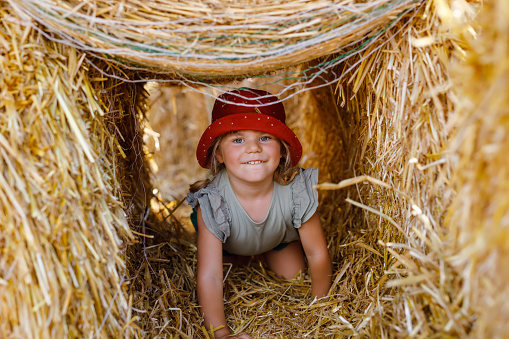 Little toddler girl having fun with running and jumping on hay stack or bale. Funny happy healthy child playing with straw. Active outdoors leisure with children on warm summer day. Kids and nature.