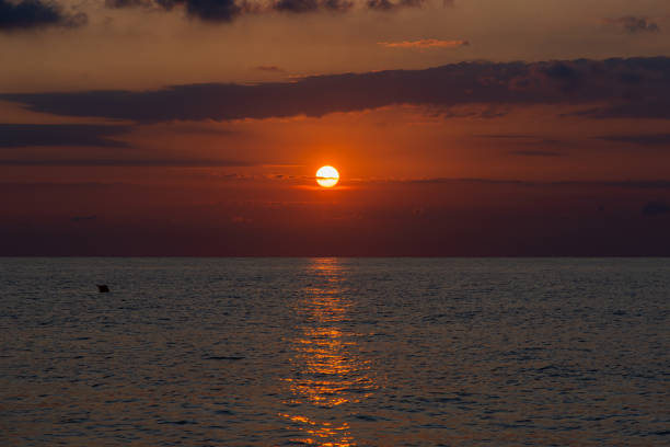 istock Adriatic sea. Ostuni, Puglia. Sunrise. 1270586259