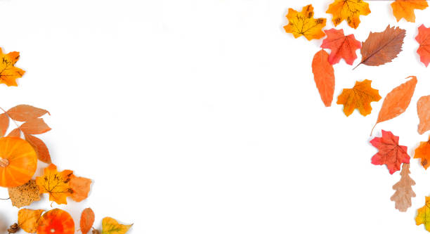 istock autumn background with yellow leaves 1270587694