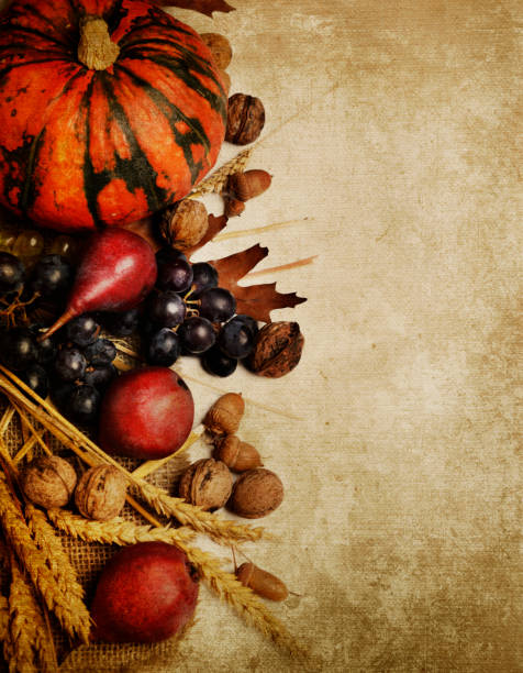 istock Thanksgiving textured background with autumn crops border 1270590925