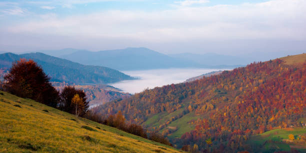 istock misty autumn morning in carpathian mountains 1270590935