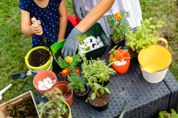 私たちの小さな庭のための花やハーブを植え、私たちは素晴らしい時間を過ごしています - oregano herb garden herb gardens ストックフォトと画像