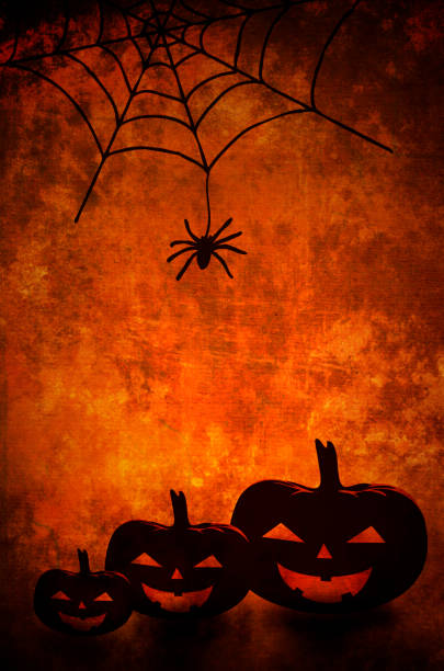 Halloween pumpkins and spider net background